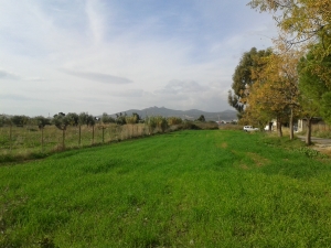 rural and mountainous Elefsina (4)